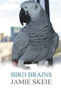 Bird Brains (en Inglés)