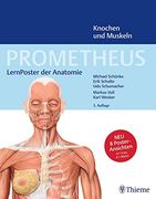 Prometheus Lernposter der Anatomie, Knochen und Muskeln (in German)