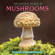 The Magical World of Mushrooms Wall Calendar 2026 (en Inglés)