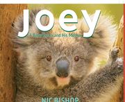 Joey: A Baby Koala and his Mother (en Inglés)