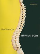 a brief atlas of the human body for human anatomy