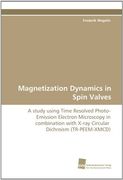 magnetization dynamics in spin valves (en Inglés)