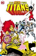 New Teen Titans Vol. 13 (en Inglés)