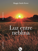 Luz entre neblina