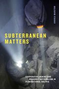 Subterranean Matters: Cooperative Mining and Resource Nationalism in Plurinational Bolivia (Elements) (en Inglés)