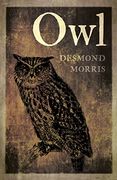 Owl (en Inglés)