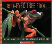 red-eyed tree frog (en Inglés)