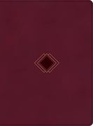 Csb Day-By-Day Chronological Bible, Burgundy Leathertouch, Black Letter, Daily Reading Plan, one Year, Devotionals, Easy-To-Read Bible Serif Type (en Inglés)