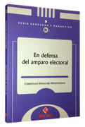 En Defensa del Amparo Electoral