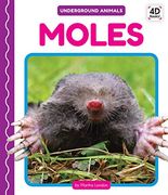 Moles (Underground Animals) (en Inglés)