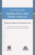 Teoría del Caso Teoría y Práctica Cómo se Elabora una Teoría del Caso