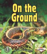 on the ground (en Inglés)