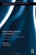 Patent Management and Valuation: The Strategic and Geographical Dimension (en Inglés)