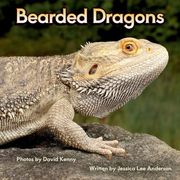 Bearded Dragons (en Inglés)