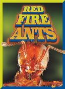 Red Fire Ants (en Inglés)