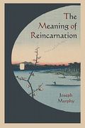the meaning of reincarnation (en Inglés)