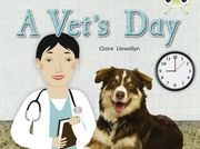 A Vet's day (Green b) nf (Bug Club) 