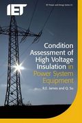 Condition Assessment of High Voltage Insulation in Power System Equipment (en Inglés)