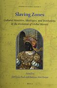 Slaving Zones: Cultural Identities, Ideologies, and Institutions in the Evolution of Global Slavery: 4 (Studies in Global Slavery) (en Inglés)