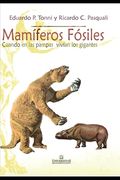 Mamíferos fósiles: cuando en La Pampa vivían gigantes