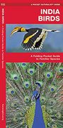 India Birds: A Folding Pocket Guide to Familiar Species (Pocket Naturalist Guide Series)