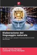 Elaborazione del linguaggio naturale (en Italiano)