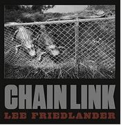 Lee Friedlander: Chain Link (en Inglés)