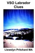 VSO Labrador Clues (en Japonés)