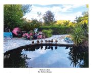 Ducks in a Row (en Inglés)