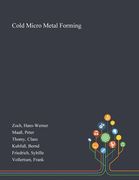 Cold Micro Metal Forming (en Inglés)