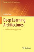 Deep Learning Architectures: A Mathematical Approach (Springer Series in the Data Sciences) 