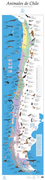 Animales de Chile. Mapa Biogeográfico