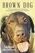 Brown dog (en Inglés)
