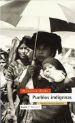 Pueblos indigenas: Nuestra vision del desarrollo (Antrazyt) (Spanish Edition) (in Spanish)