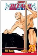bleach 23