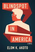 Blindspot in America (en Inglés)