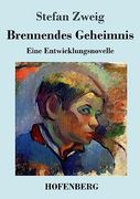 Brennendes Geheimnis: Eine Entwicklungsnovelle (in German)