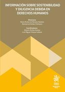 Información Sobre Sostenibilidad y Diligencia Debida en Derechos Humanos (in Spanish)