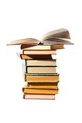 Cohabitation: Law, Practice and Precedents (en Inglés)