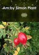 Am (en Inglés)