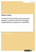 Evolución del Mercado de gas Natural de España, y su Efecto Sobre las Estrategias Empresariales en Upstream y Suministro