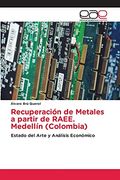 Recuperación de Metales a Partir de Raee. Medellín (Colombia): Estado del Arte y Análisis Económico