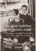 No Puse Nombre a mi Primer Amor