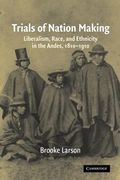 Trials of Nation Making: Liberalism, Race, and Ethnicity in the Andes, 1810–1910 (en Inglés)