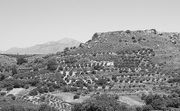 The Galatas Survey: Socio-Economic and Political Development of a Contested Territory in Central Crete During the Neolithic to Ottoman Per (en Inglés)