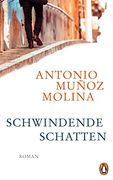 Schwindende Schatten: Roman (in German)