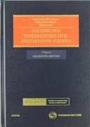 Los derechos fundamentales en el derecho penal europeo (Estudios y Comentarios de Legislación)