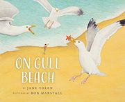 On Gull Beach (on Bird Hill and Beyond) 