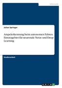 Ampelerkennung beim autonomen Fahren. Einsatzgebiet für neuronale Netze und Deep Learning (en Alemán)