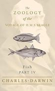 Fish - Part IV - The Zoology of the Voyage of H.M.S Beagle (en Inglés)